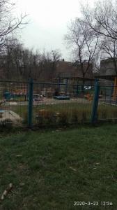 Фотография Золотой петушок 1