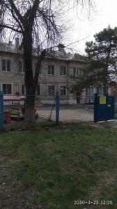 Фотография Золотой петушок 0