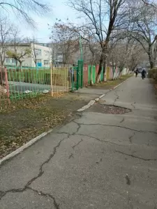 Фотография Белочка 1
