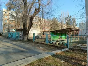 Фотография Аленький цветочек 4
