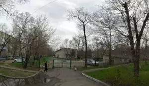 Фотография Белочка 2