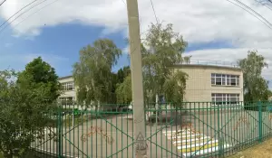 Фотография Колокольчик № 38 0