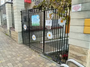 Фотография Ромашка 3