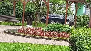 Фотография Детский сад №7 3